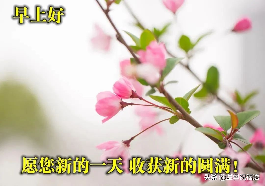 最美春日风景早安图片带祝福语 好看的朋友圈早安问候图片带字温馨