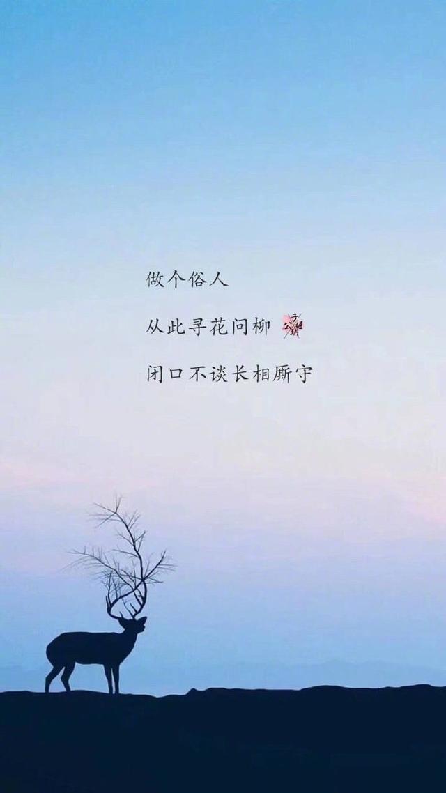 心累想哭的伤感句子,锥心刺骨,令人心碎