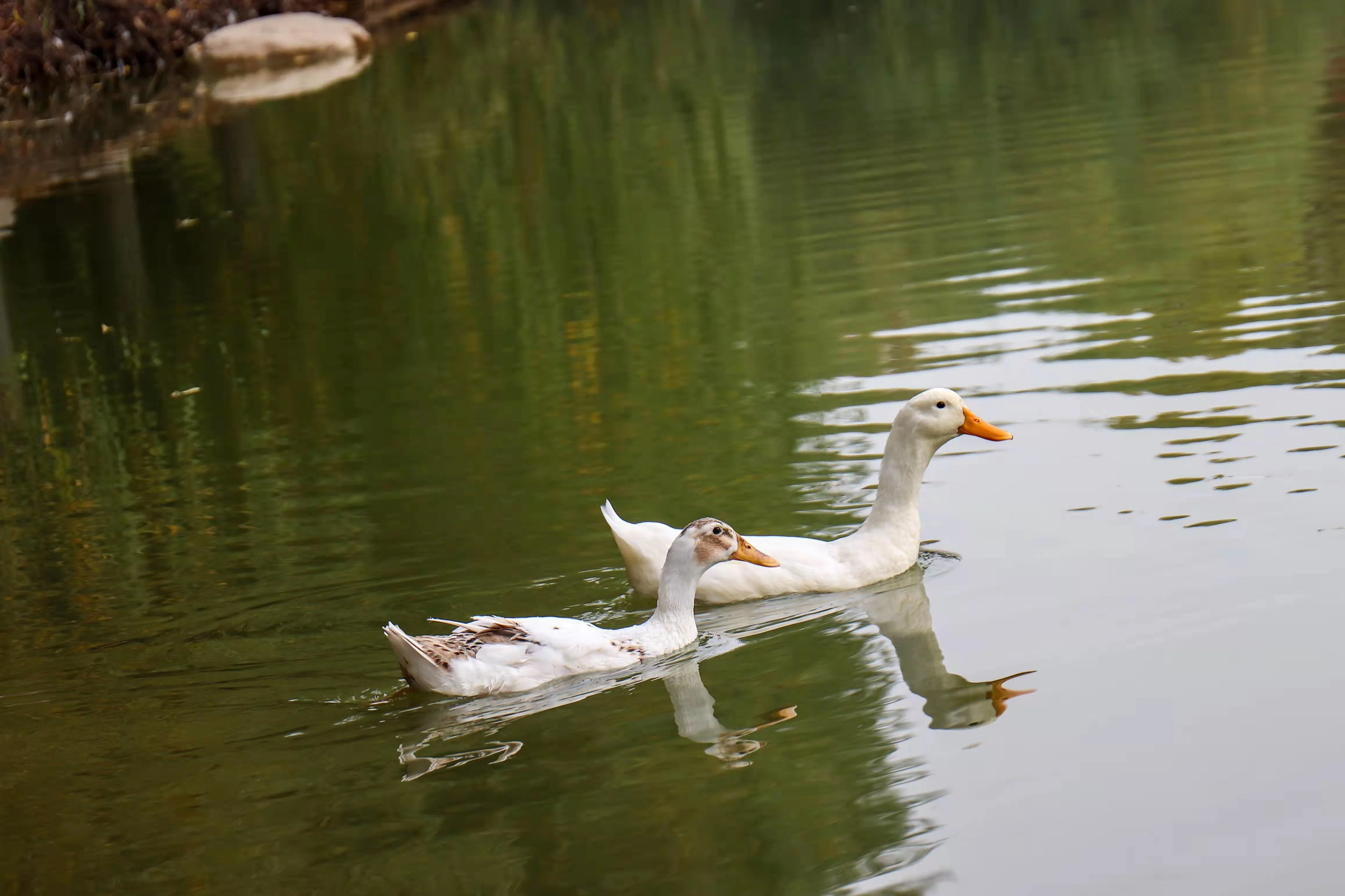 优微推荐丨入股不亏！快来一起探索生活中的小美好吧