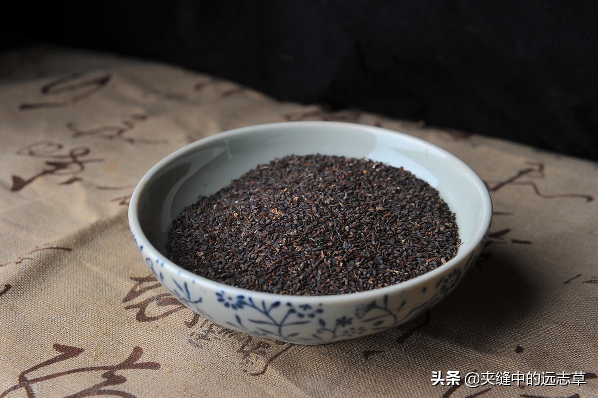 结石？送你十一味中药，清湿热、化积石，湿热即除，何愁积石？