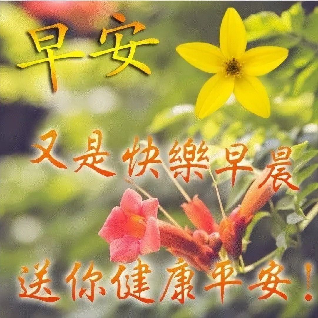 4月4日早上好表情图片，祝福问候永远在，真情永远，友谊天长地久图片
