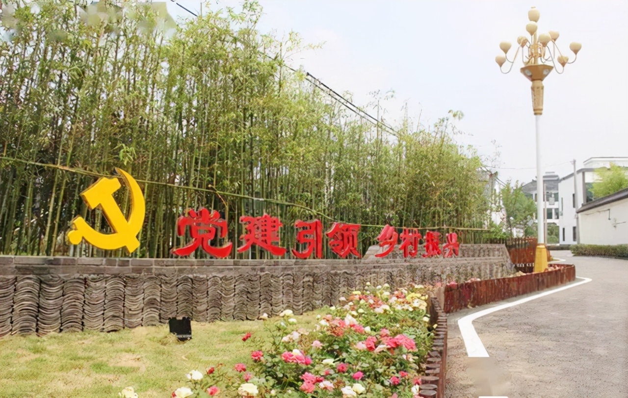 哭泣的乡村：一个中国农大研究生的回乡日记