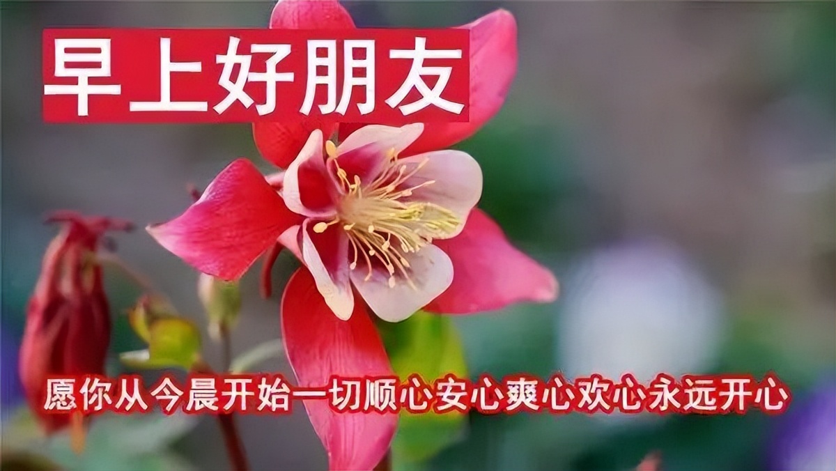 新的一天早安心情说说句子 心素如简，人淡如菊 君子相交，随方就圆图片