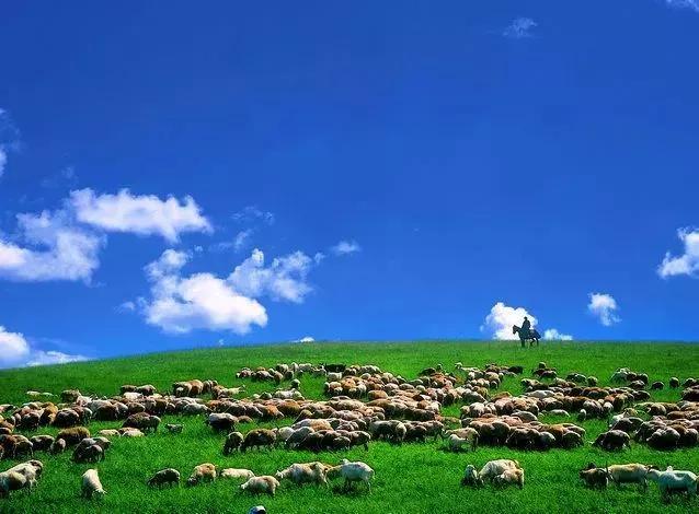 美丽的草原，我来了