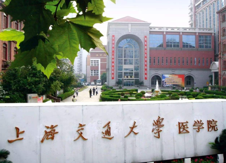 临床医学金字塔排名已更新，上交大稳坐头把交椅，同济位居第五档