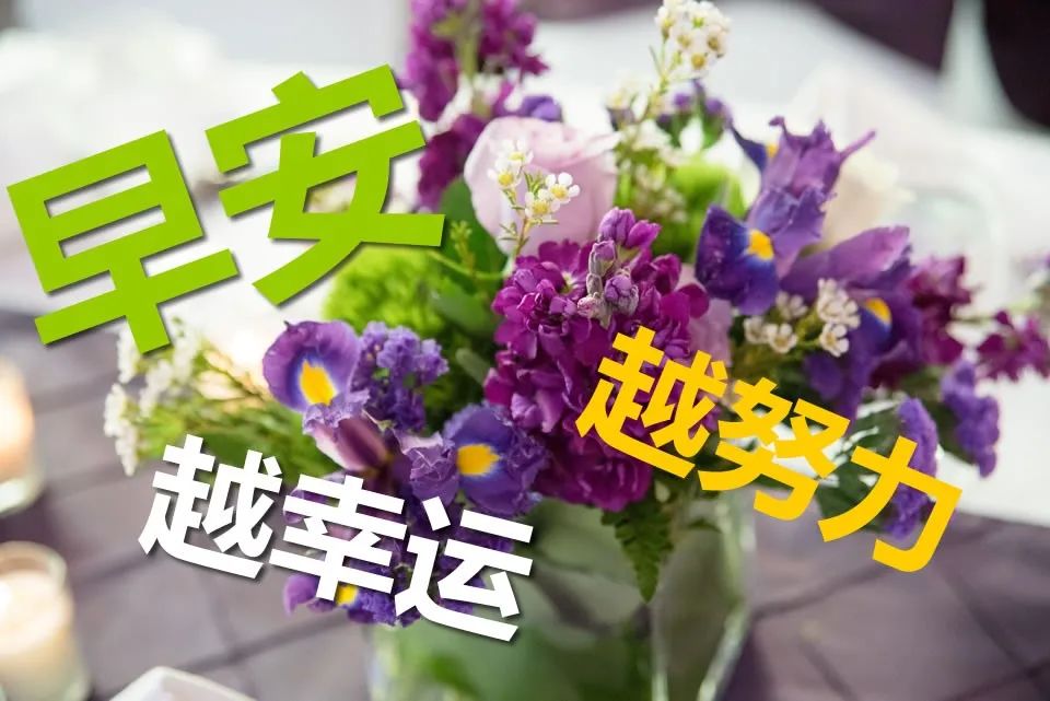周末特别漂亮的早上好问候语图片带字 愿快乐与你朝夕相处图片