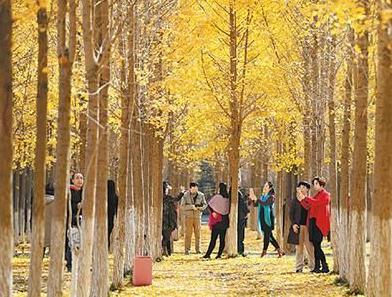 恭喜甘肃这3所大学，成功入选国内百强高校，兰交大遗憾落选？