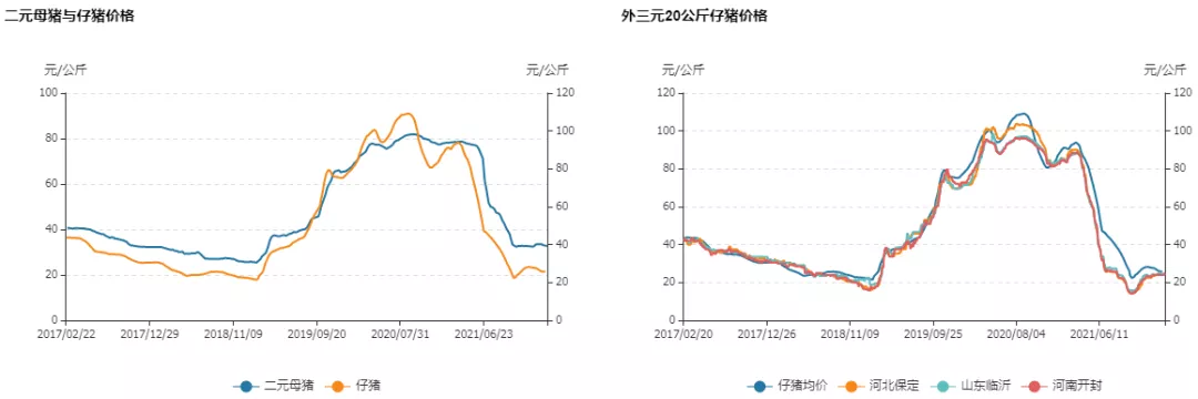 牛钱生猪周报—收储提振有限,生猪周内延续弱势