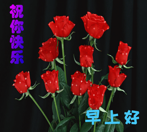 早上好问候语温馨语句 今日更新早上好动态表情包 亲爱的朋友早上好图片