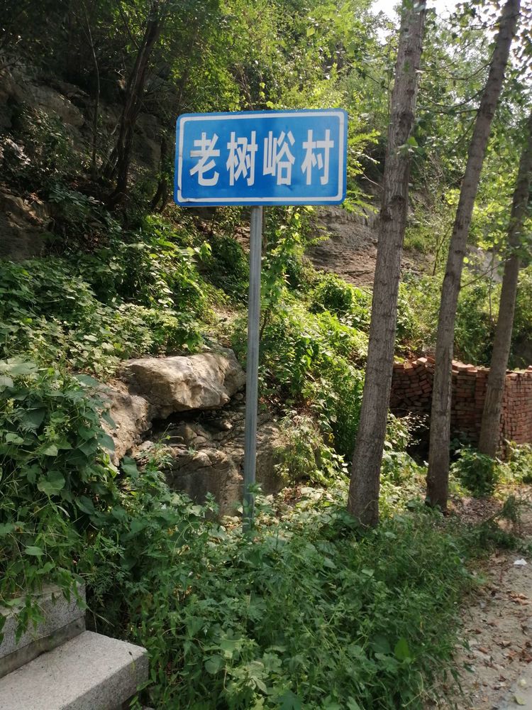 逛南山老树峪有感