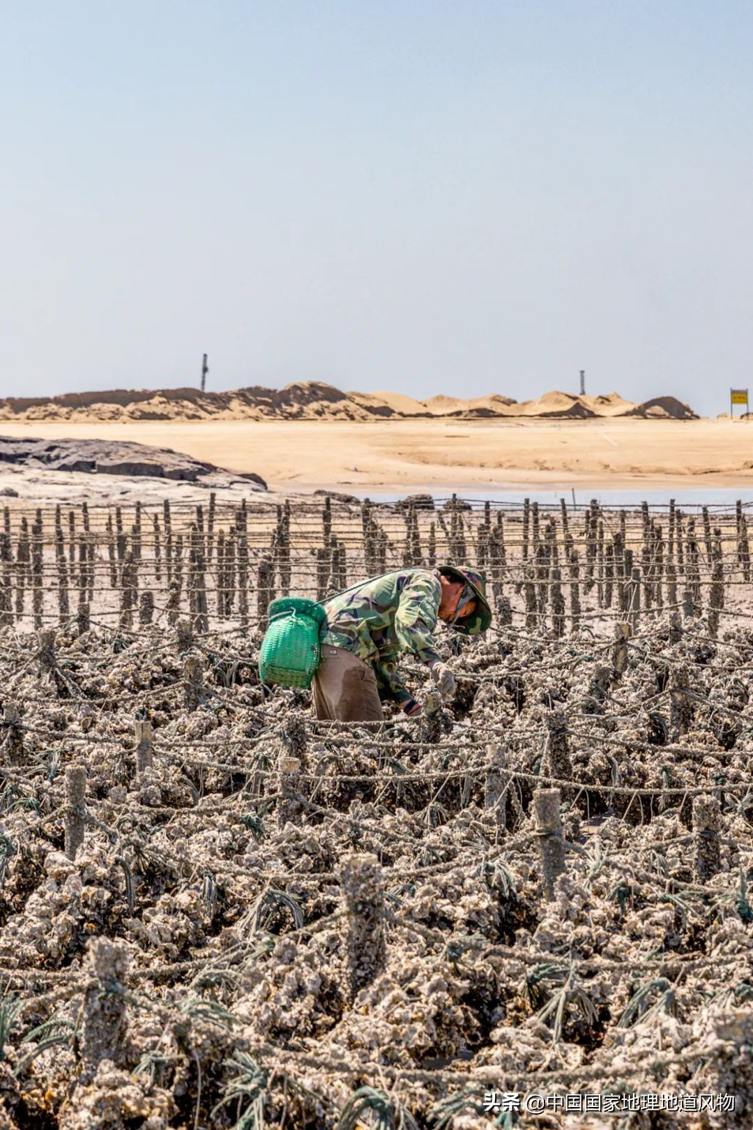 �й����ʴ�ʡ��ô�࣬����������óԣ�