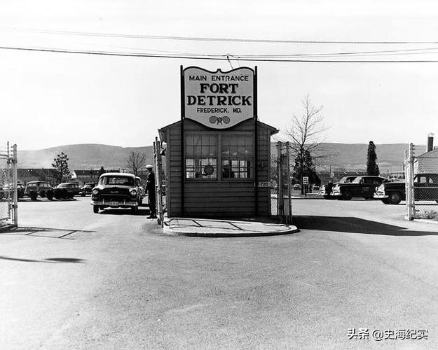 ������ȫ��Ͷ�������𣬴�731���ӵ�������˱�������������ʲô