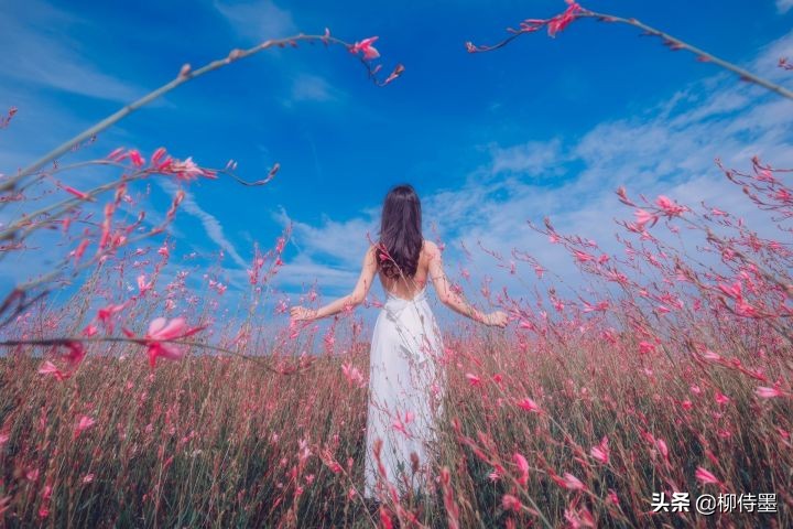 赏花拍摄唯美人像,用好摄影前景遮挡,照片瞬间高大上
