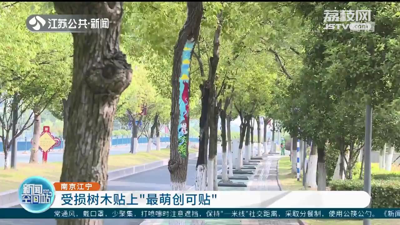 结合树洞修补进行彩绘 南京江宁为受损树木贴上“最萌创可贴”