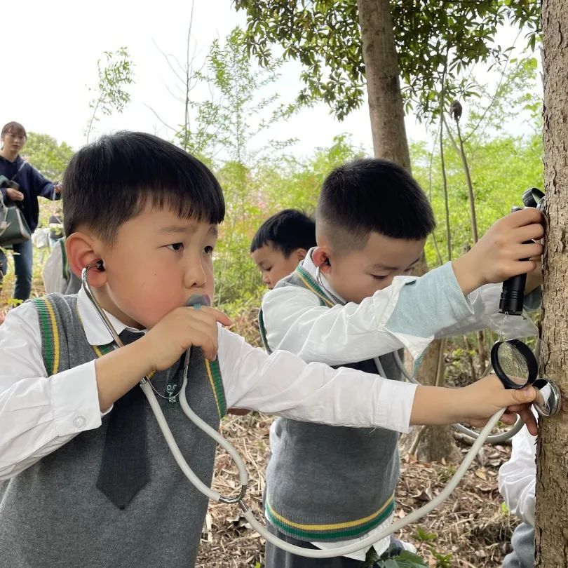 汉服体验、美食大赏、亲近野生动物……这样的春日活动真让人羡慕