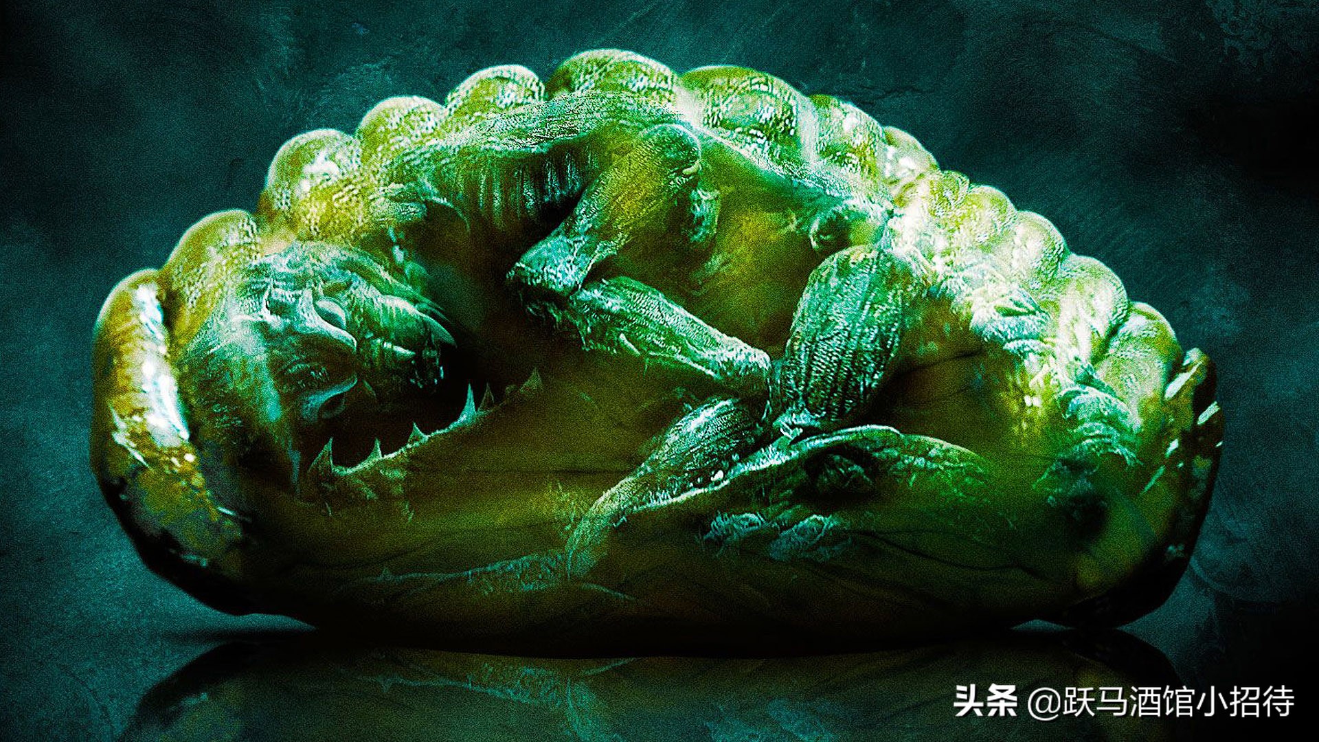 一张诡异的图片 看懂就觉得恐怖(盘点吉尔莫) - 赤虎壹号