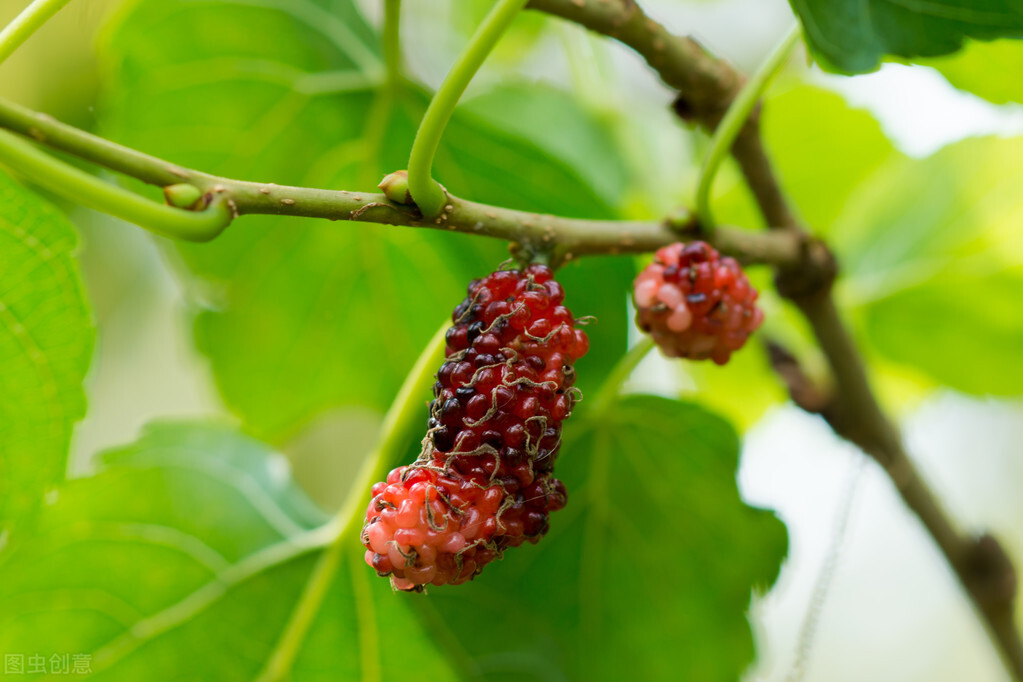 元宇宙游戏开发 链游系统开发