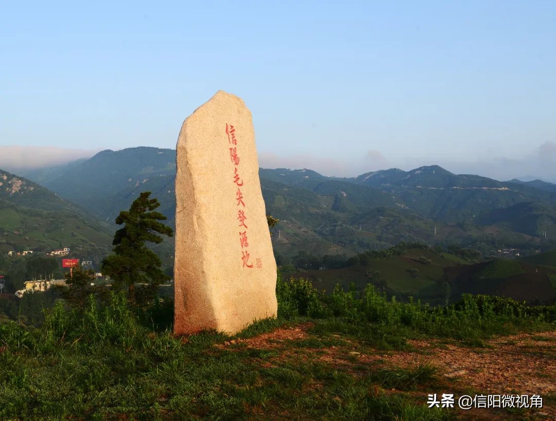 信阳茶叶节（30年以来信阳茶文化节的精彩瞬间）