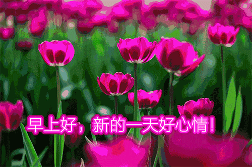 每日更新早上好表情包图片动态问候语 愿你开心永远，幸福永远图片