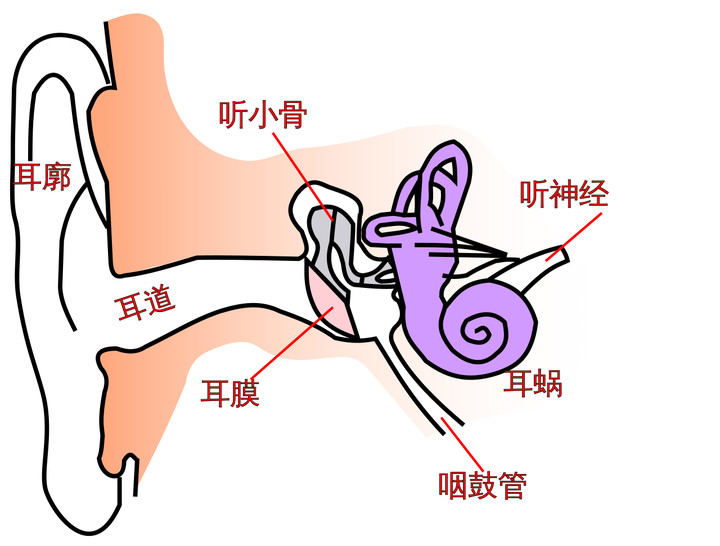 骨传导耳机不会影响听力，是真的咩？