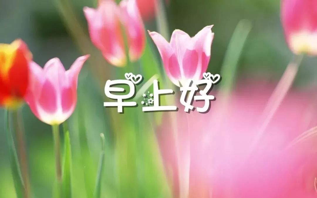周四早上好动态表情精选 祝愿一顺百顺万事顺图片