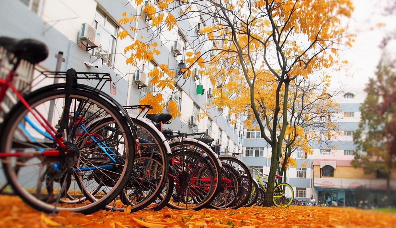 江苏省8所大学新增院士：东南3人、南理2人，有2所为双非大学