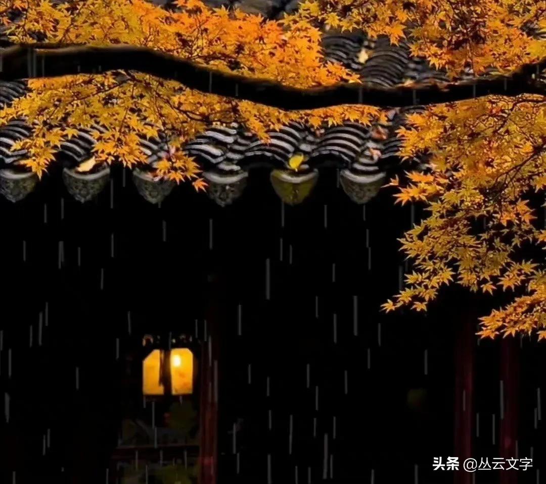 中国四大经典戏剧中流传千古的佳句：情不知所起，一往而深