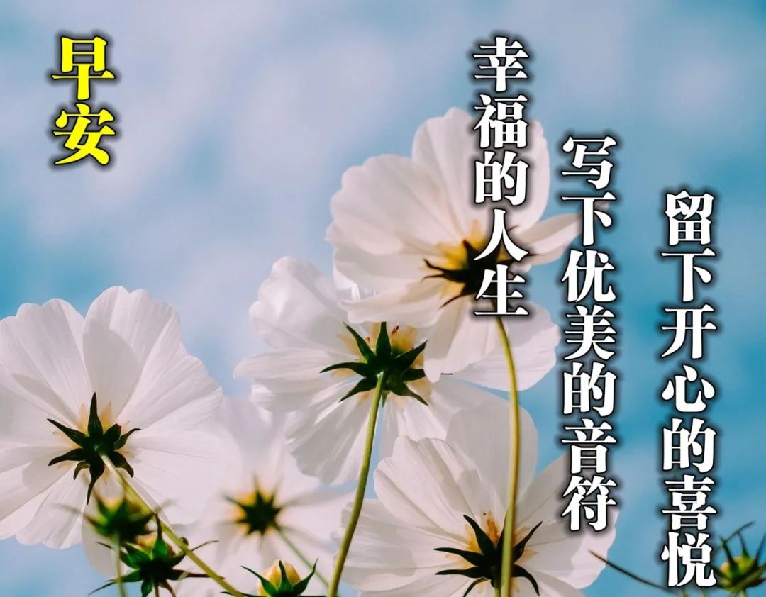 深秋今日更新早上好动态表情包 感恩的心看世界，幸福就无所不在图片