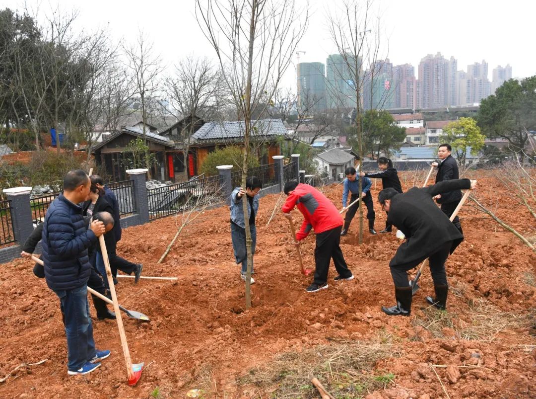 创国家森林城市 建怀化绿色家园 黎春秋王建球李万千印宇鹰等参加义务植树活动