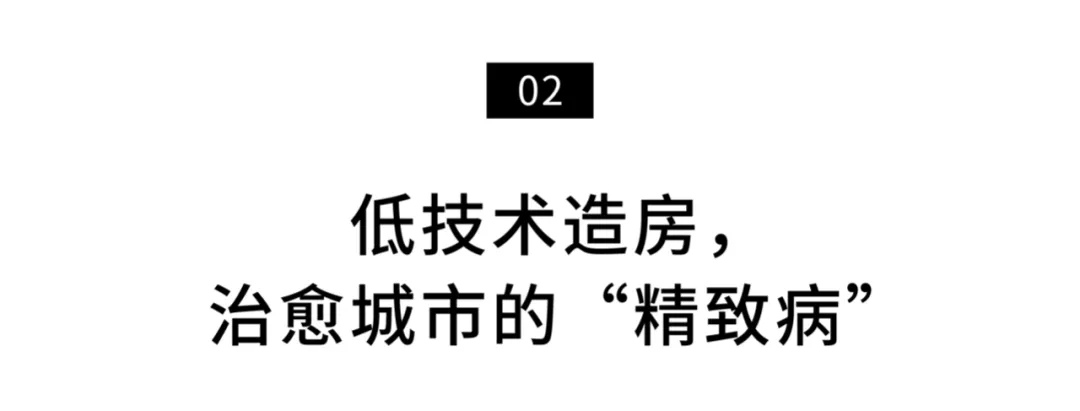 青岛夫妻在云南:一次花掉200万积蓄的移居实验