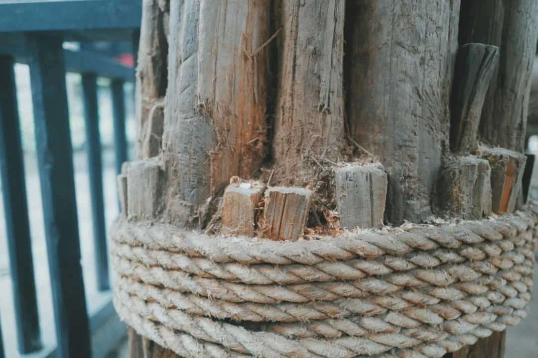 最近超火的盐帮菜之乡让我大开眼界，奇怪的知识又增加了