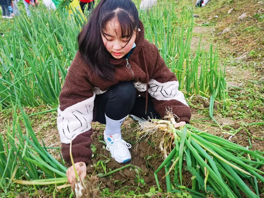 「城南小学•德育工作」小基地大收获 劳动实践快乐多