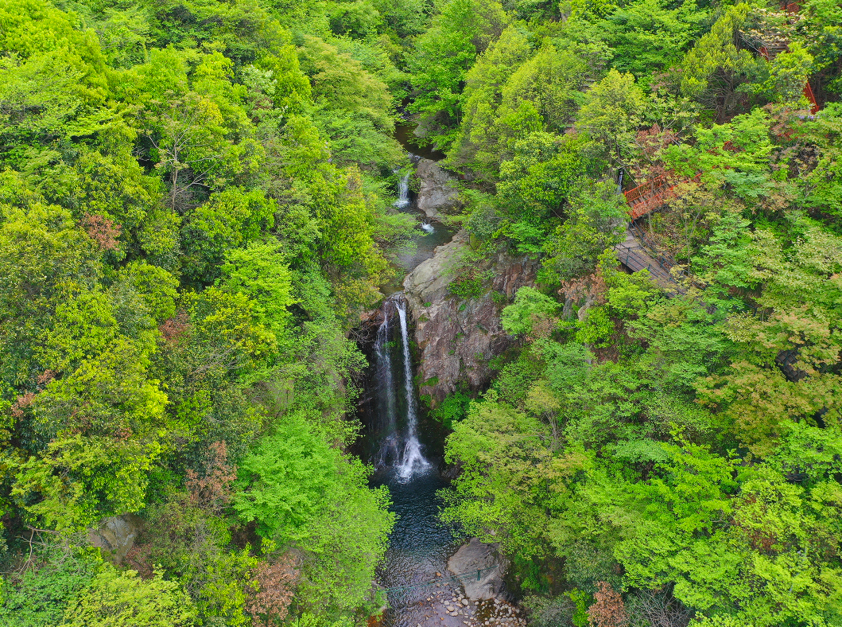 龙津溪地景区5月10日恢复开园