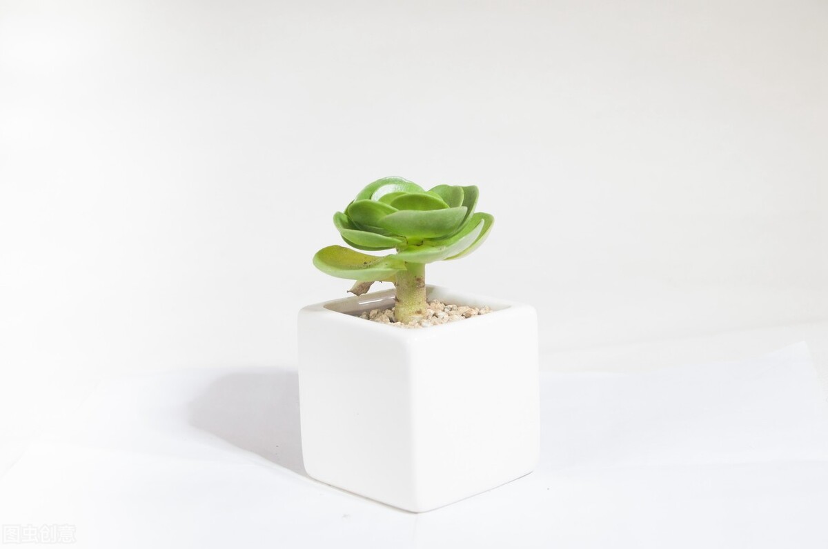 人生百味 婚姻與愛情最大的不同 Me前沿