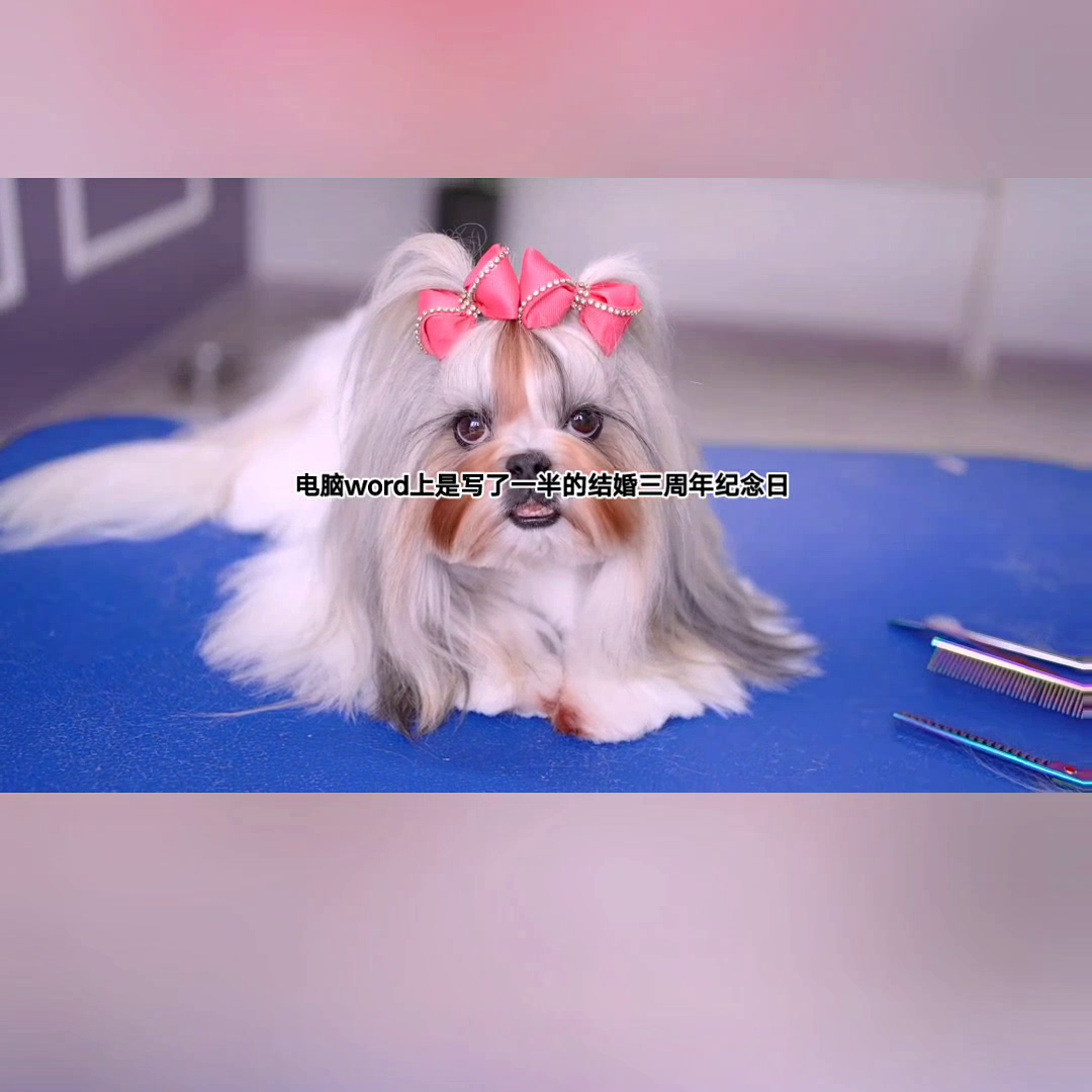 妙妙发现丈夫有本秘密，日记里面记录了对前期的思念，还有对他这个替身的敌我