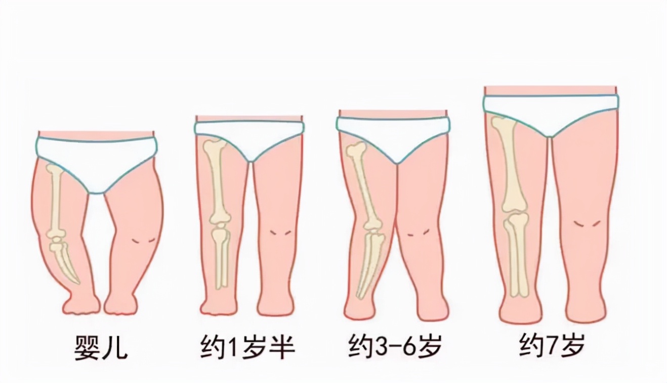 新生儿身材比例图图片