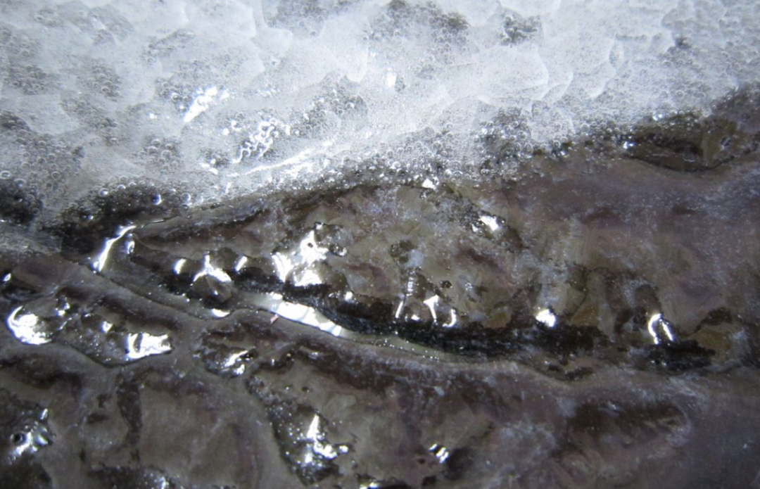 石油是古生物形成的？一个油田上亿吨石油，有那么多古代生物吗？