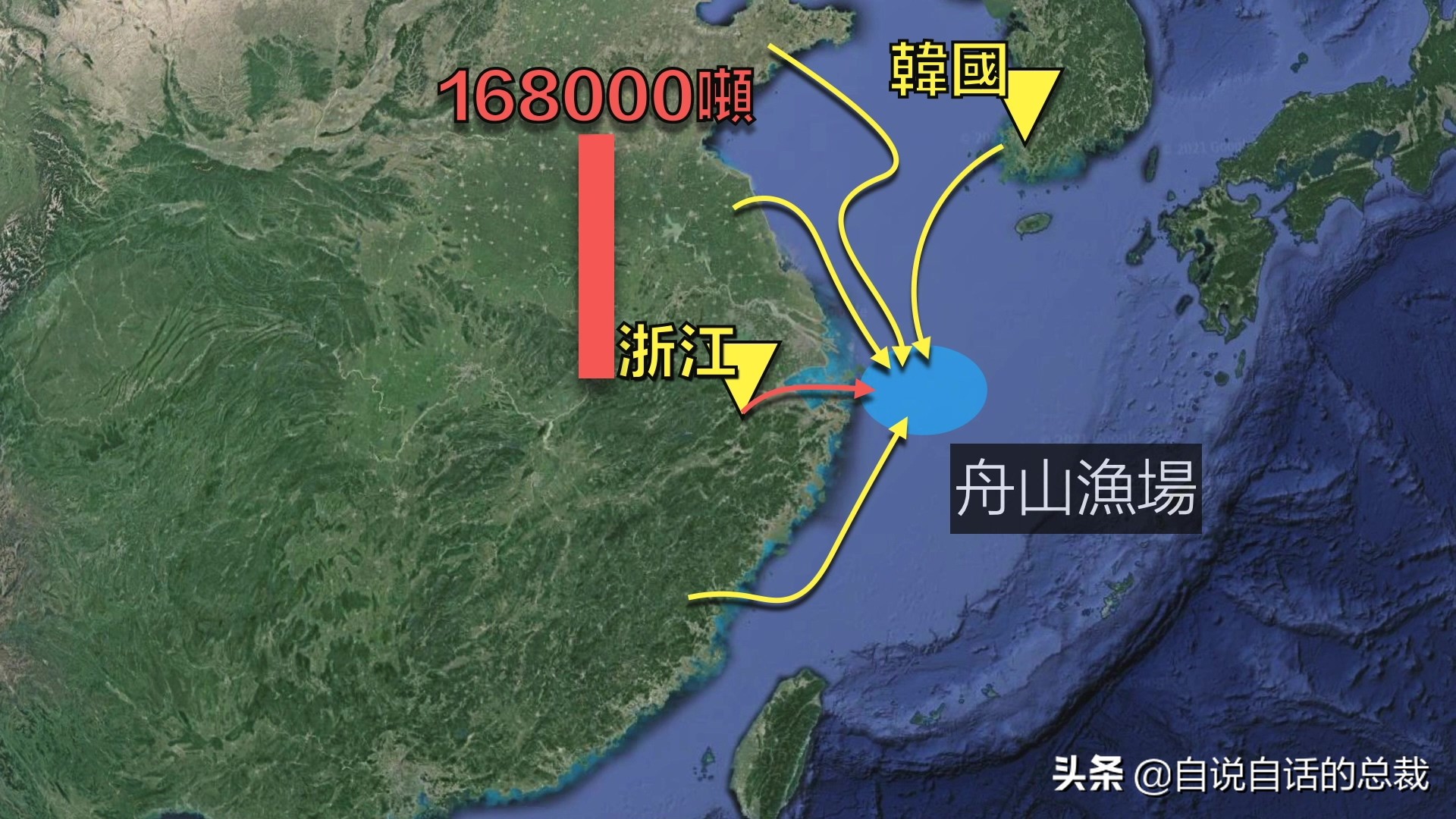 从4毛一斤到价比黄金，300万一条，40年来，大黄鱼到底经历了什么