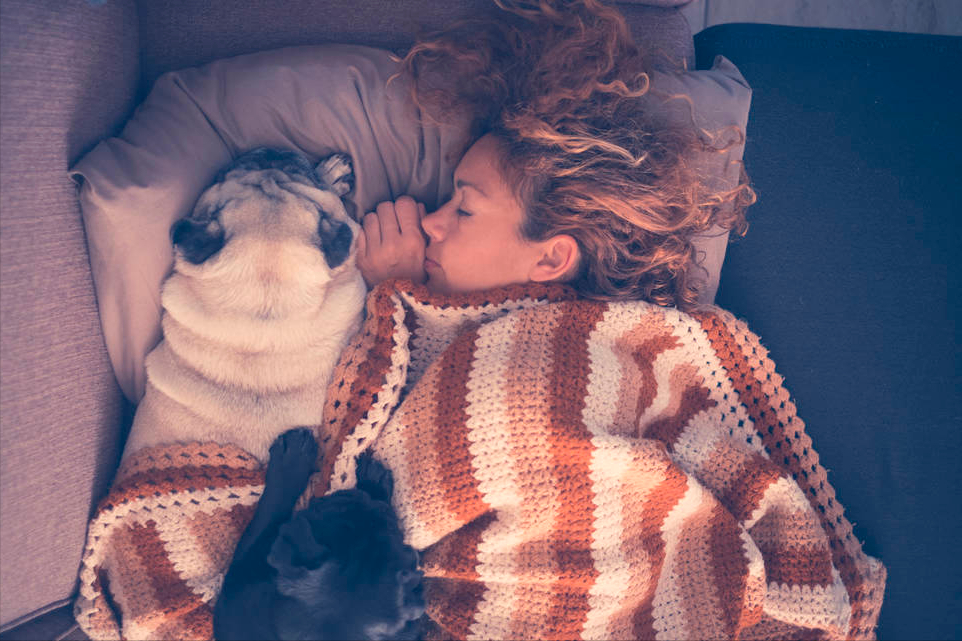 狗狗把你当主人的6个表现，你家占几个？