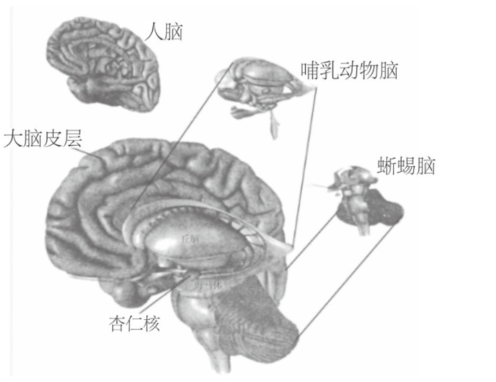 电脑飞行模式关闭方法：快速解决无线连接问题