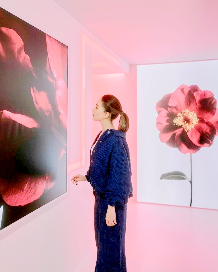 周杰伦晒昆凌孕照官宣第三胎喜讯，去年11月昆凌曾因孕期不适晕倒