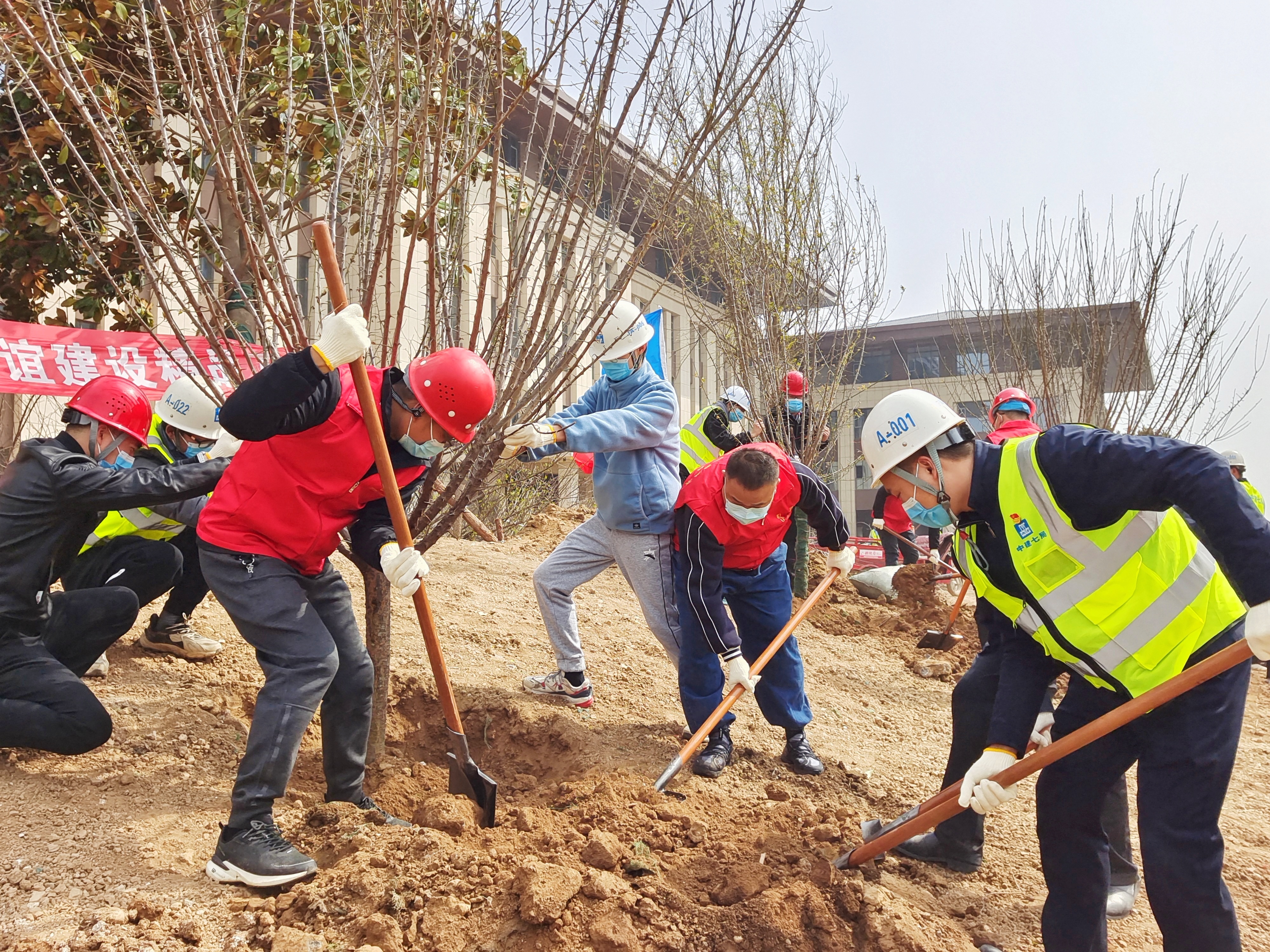 相约种植绿色友谊 携手共建精品工程