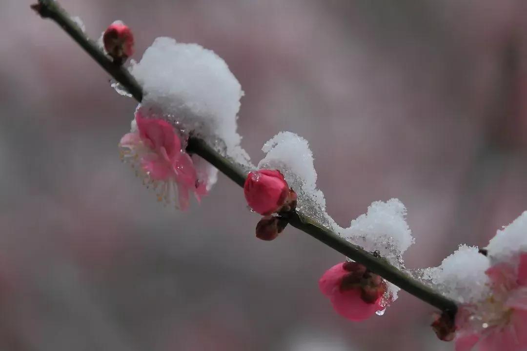 一川雪色，满城烟火，万丈红尘中，闲情几许？