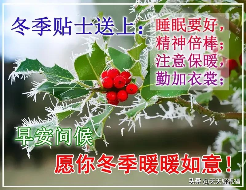 1月6日最美早上好问候图片，清晨早安心语正能量