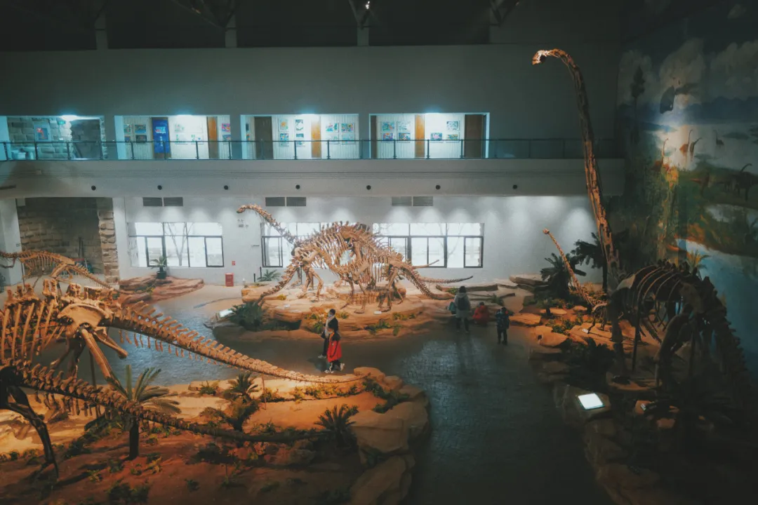 最近超火的盐帮菜之乡让我大开眼界，奇怪的知识又增加了