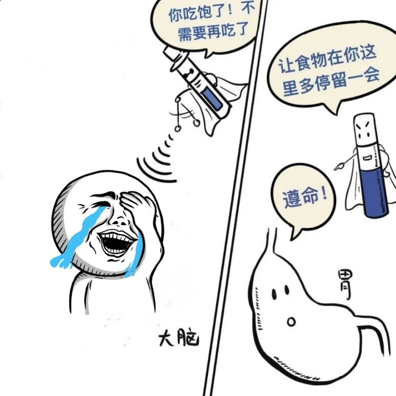 司美格鲁肽，减肥莫轻率