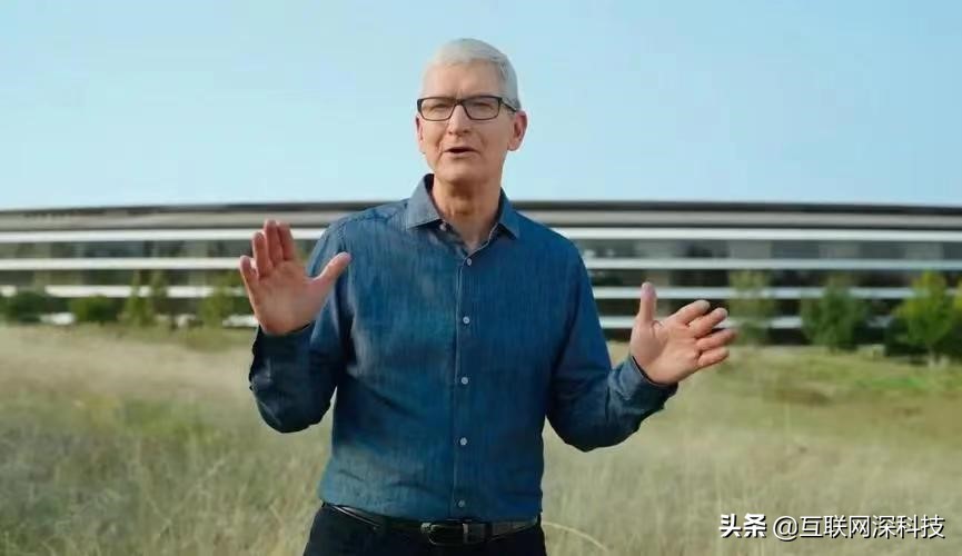 一口大棒一口蜜枣？罗永浩想做苹果负责人