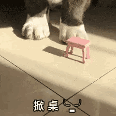 重庆最新消息：部分学校寒假假期已调整，学生们可提前放假回家