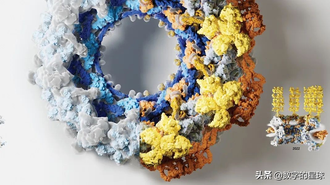 人工智能解码了容纳我们DNA的蛋白质复合物