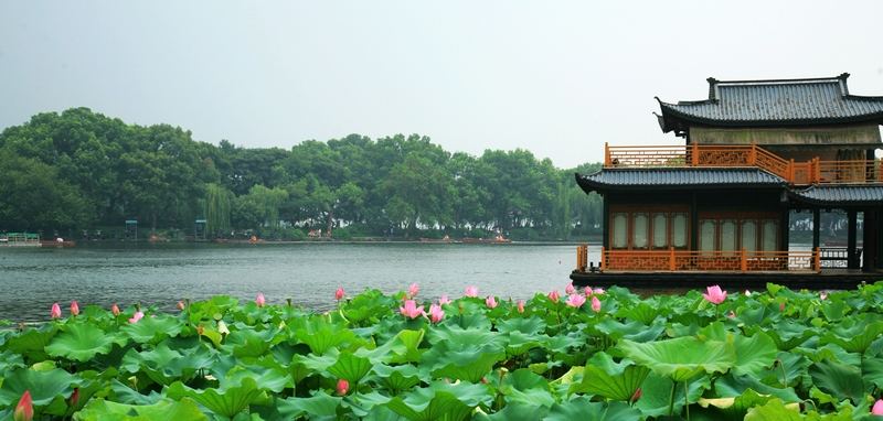 醉美西湖：春夏秋冬，雨雾晴雪，你都能看到西湖不一样的美